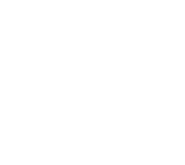 PACE 100% white PACE 100% white